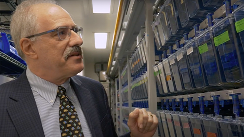 An adult in a suit examines tanks for of zebra fish at a research facility.